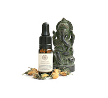 Load image into Gallery viewer, Focus Essential Oil Blend