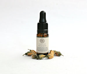 Focus Essential Oil Blend